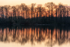 Deutschland, Baden-Württemberg, Karlsruhe, Abendstimmung am Grötzinger Baggersee. Deutschland, Baden-Württemberg, Karlsruhe, Abendstimmung am Grötzinger Baggersee.
